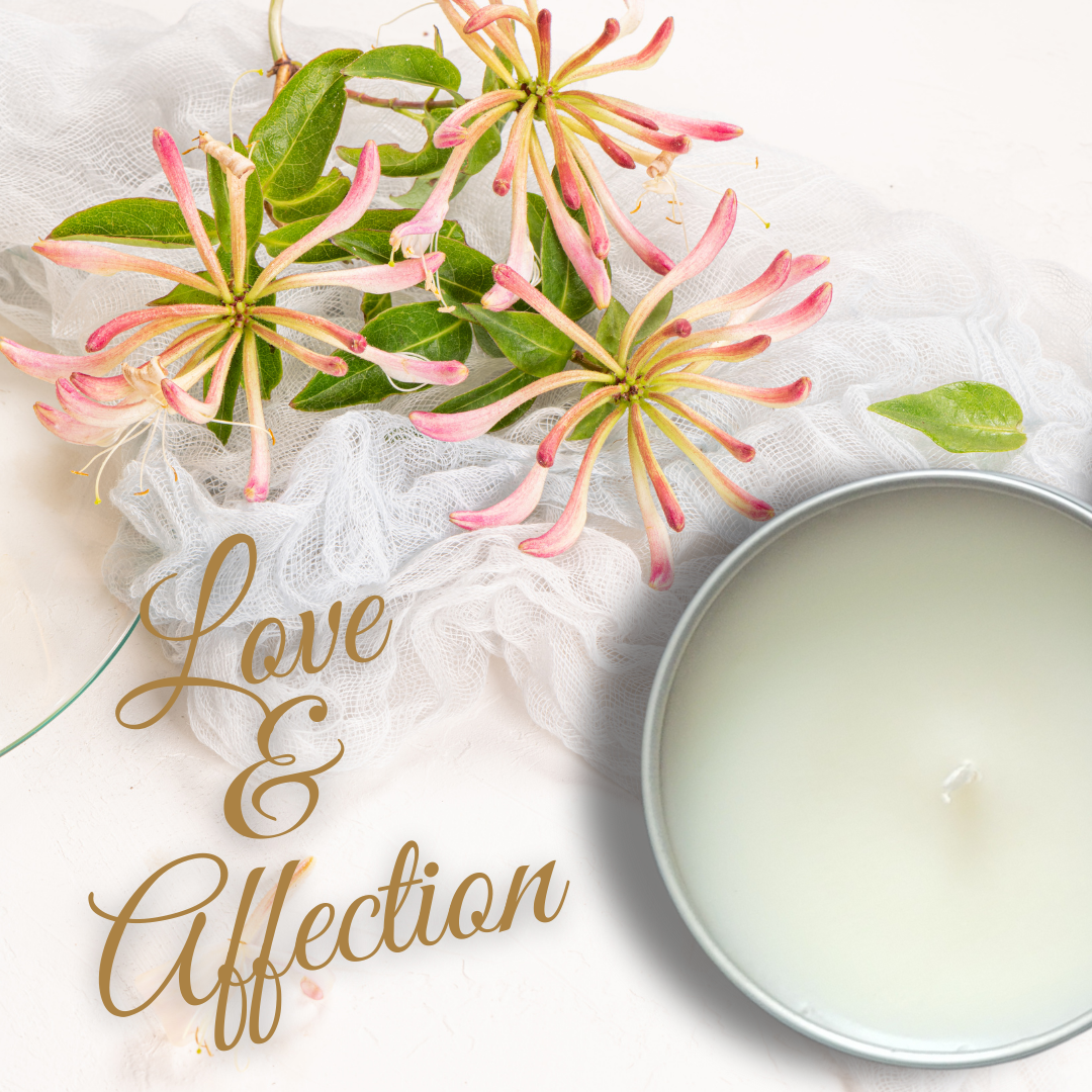 Candle Lover's Collection